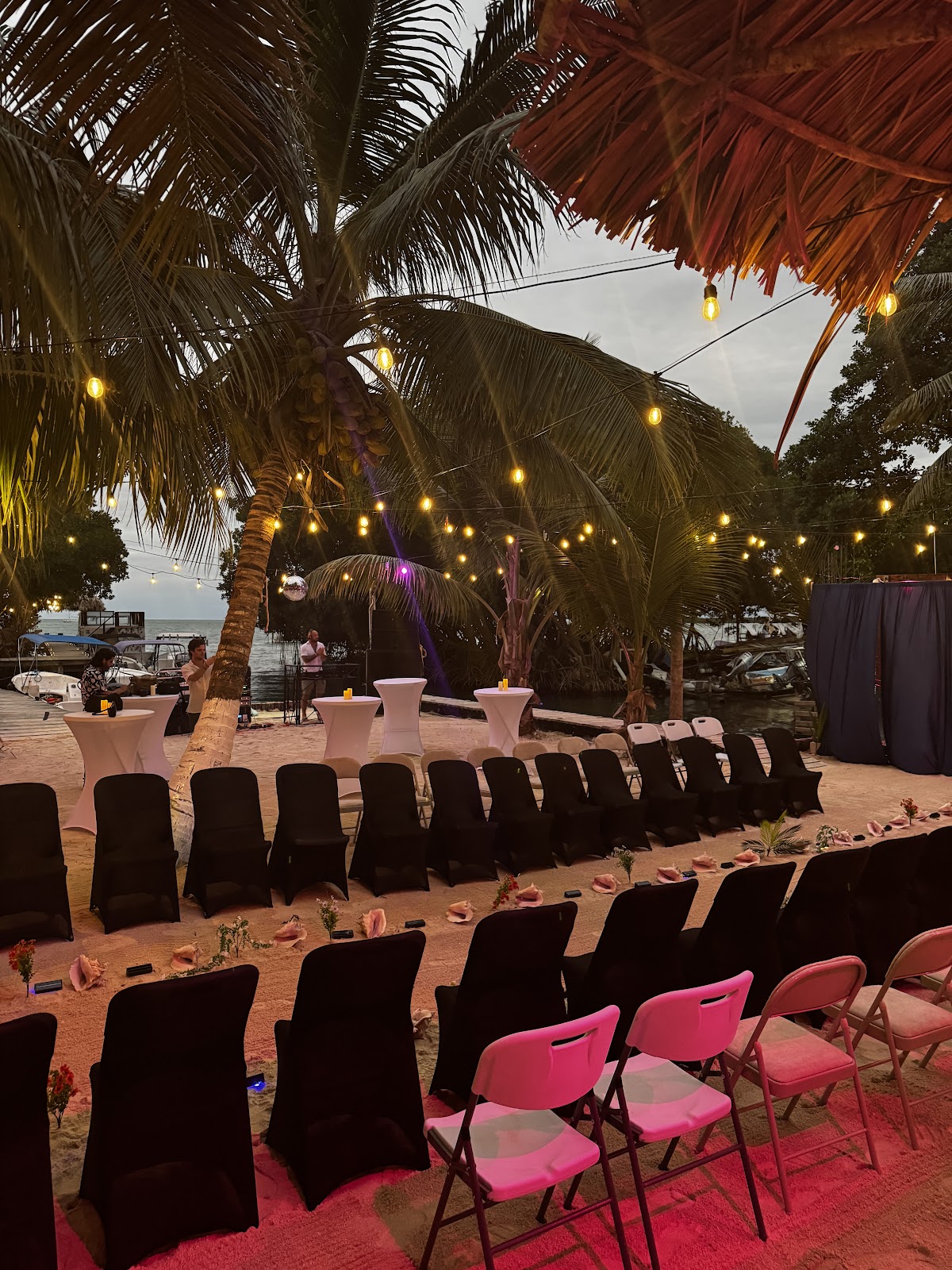 Mangrove Beach Cafe & Lounge photo 3