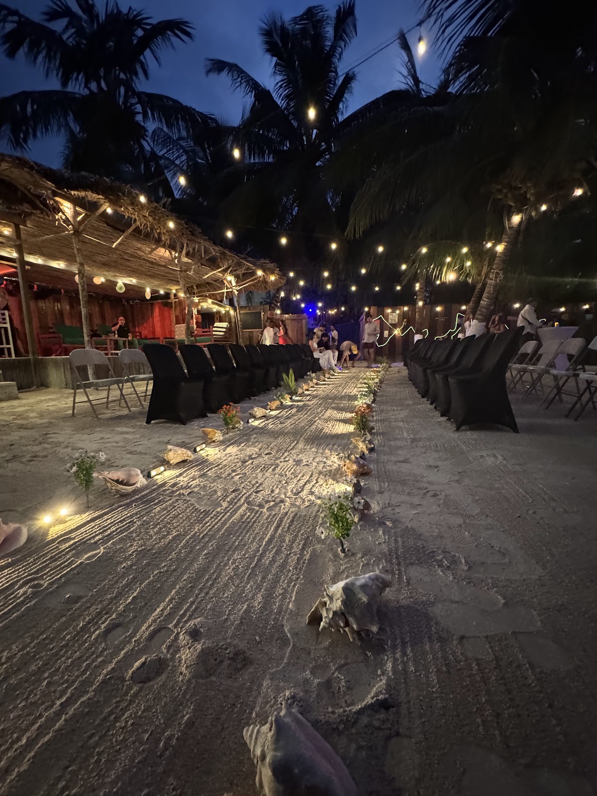 Mangrove Beach Cafe & Lounge photo 4