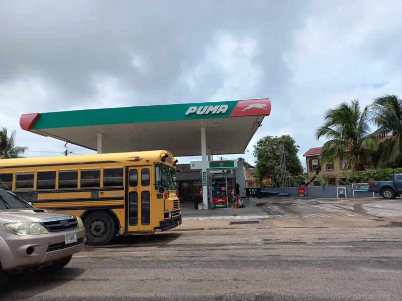 Puma Gas Station