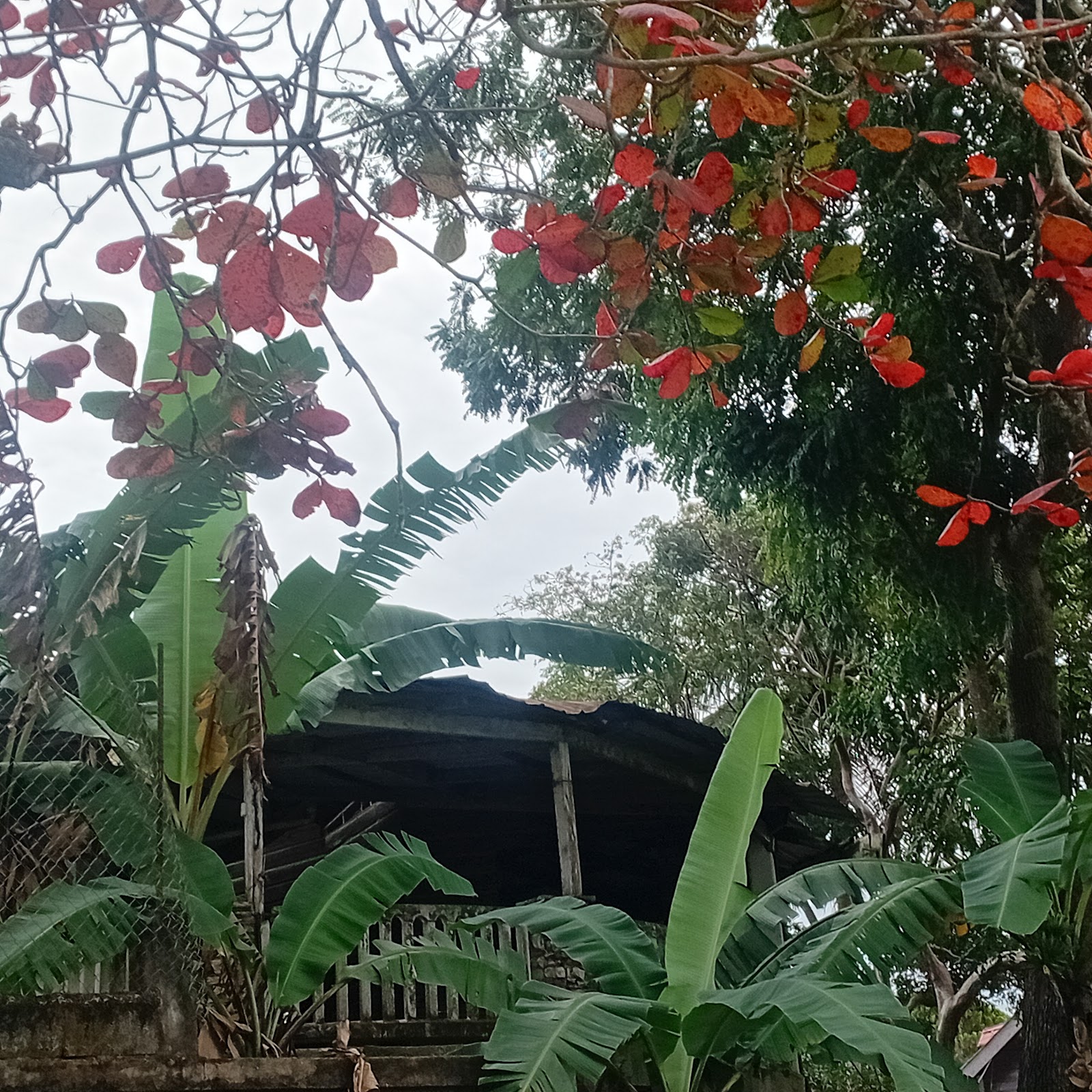 Cayo North Resource centre photo 7