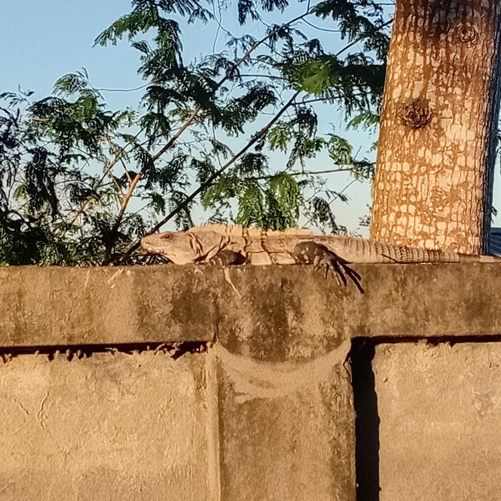Cayo North Resource centre photo 8