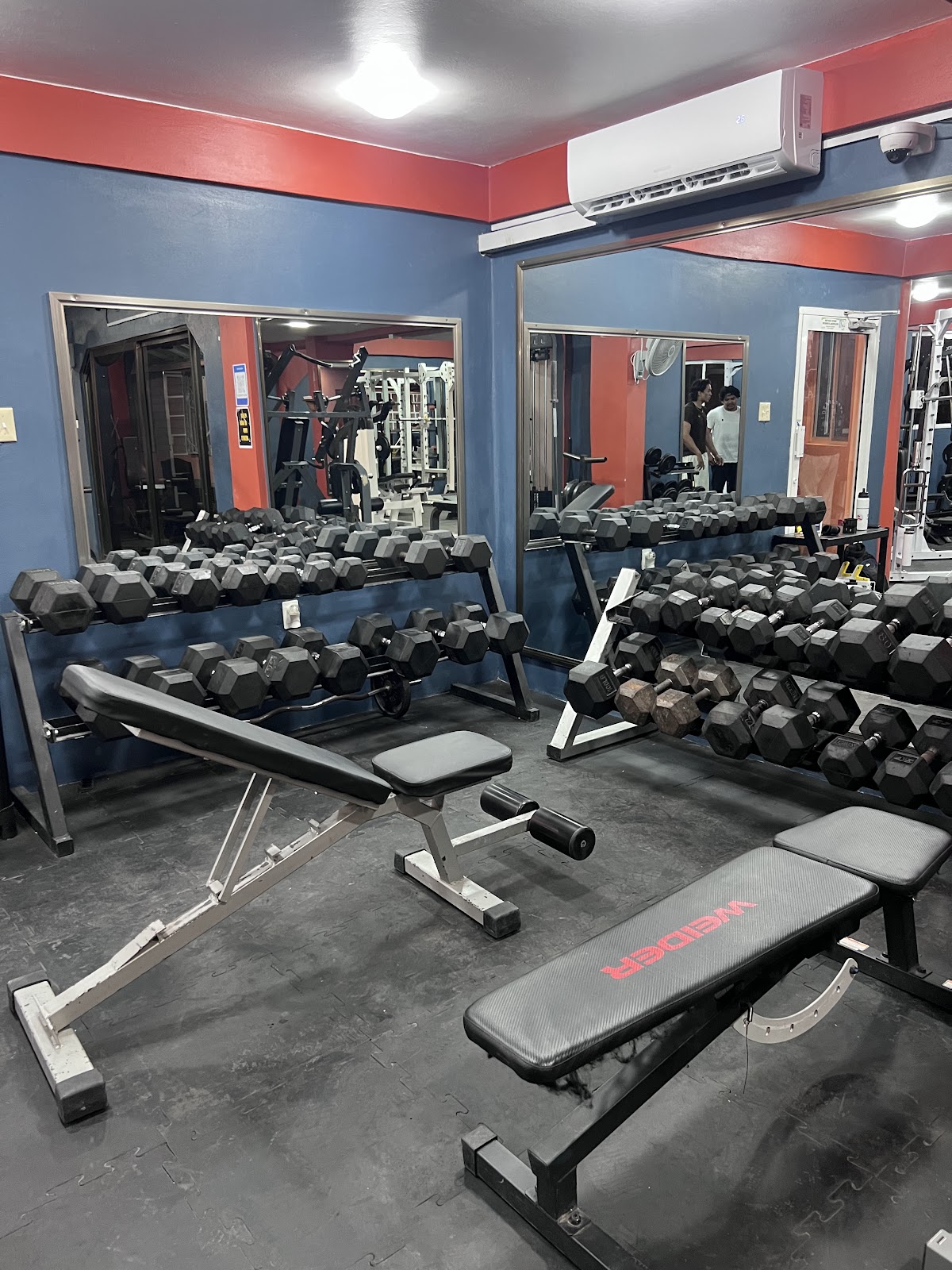 Alpha Fitness Gym photo 3