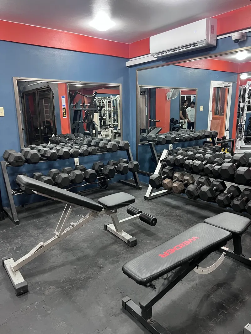 Alpha Fitness Gym photo 3
