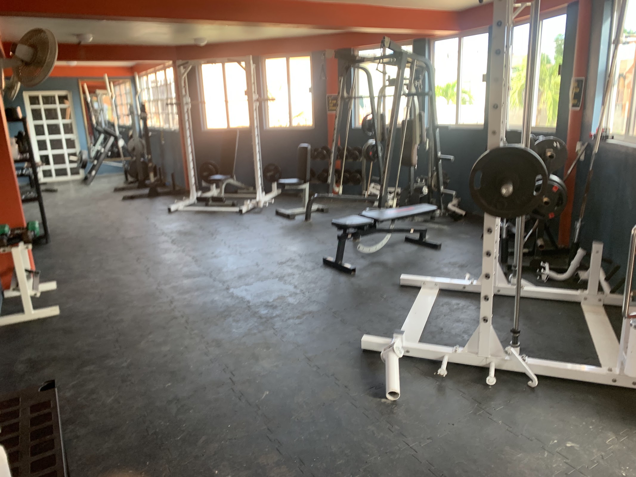 Alpha Fitness Gym photo 6