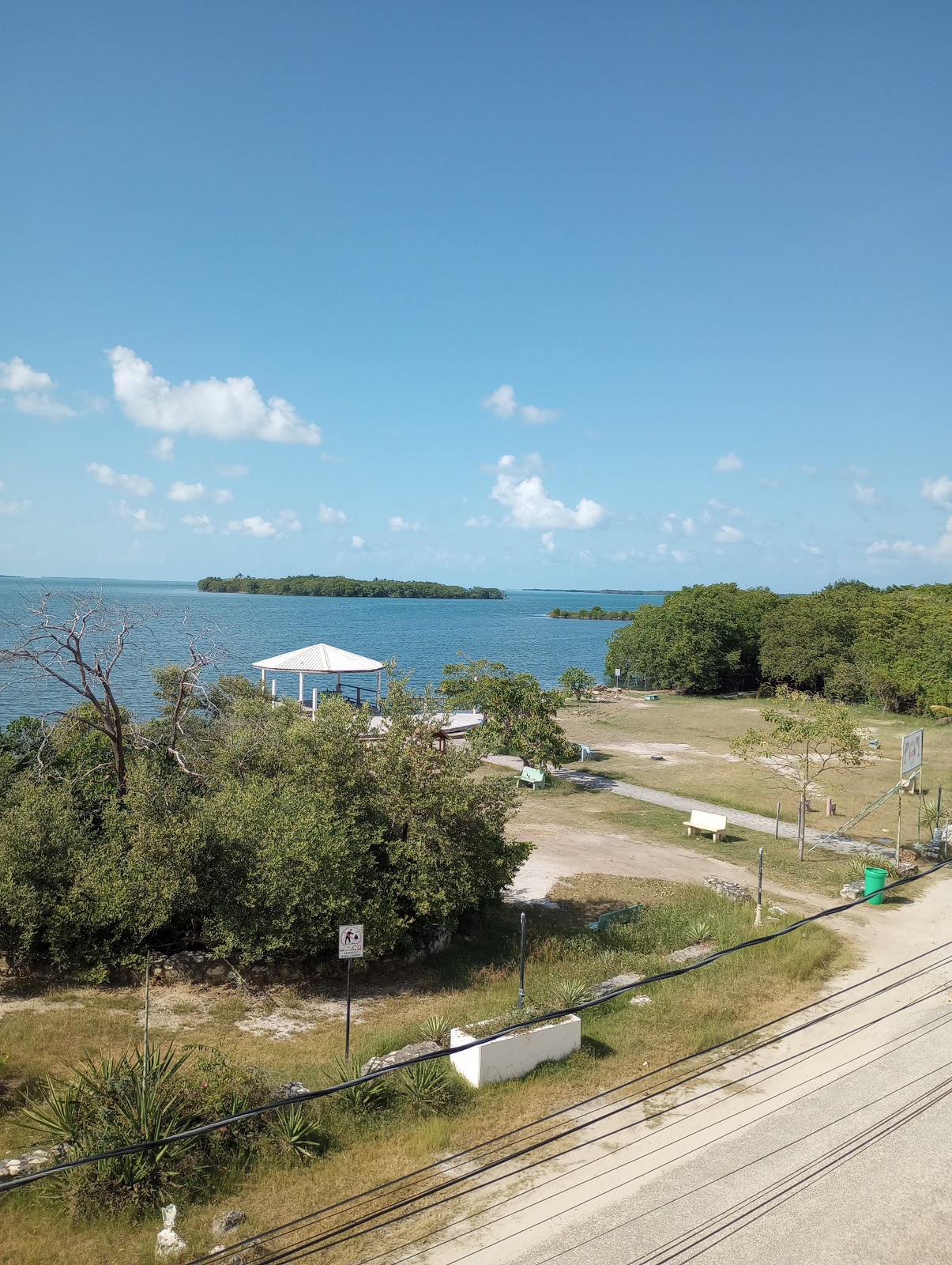 Dolphin Park photo 8