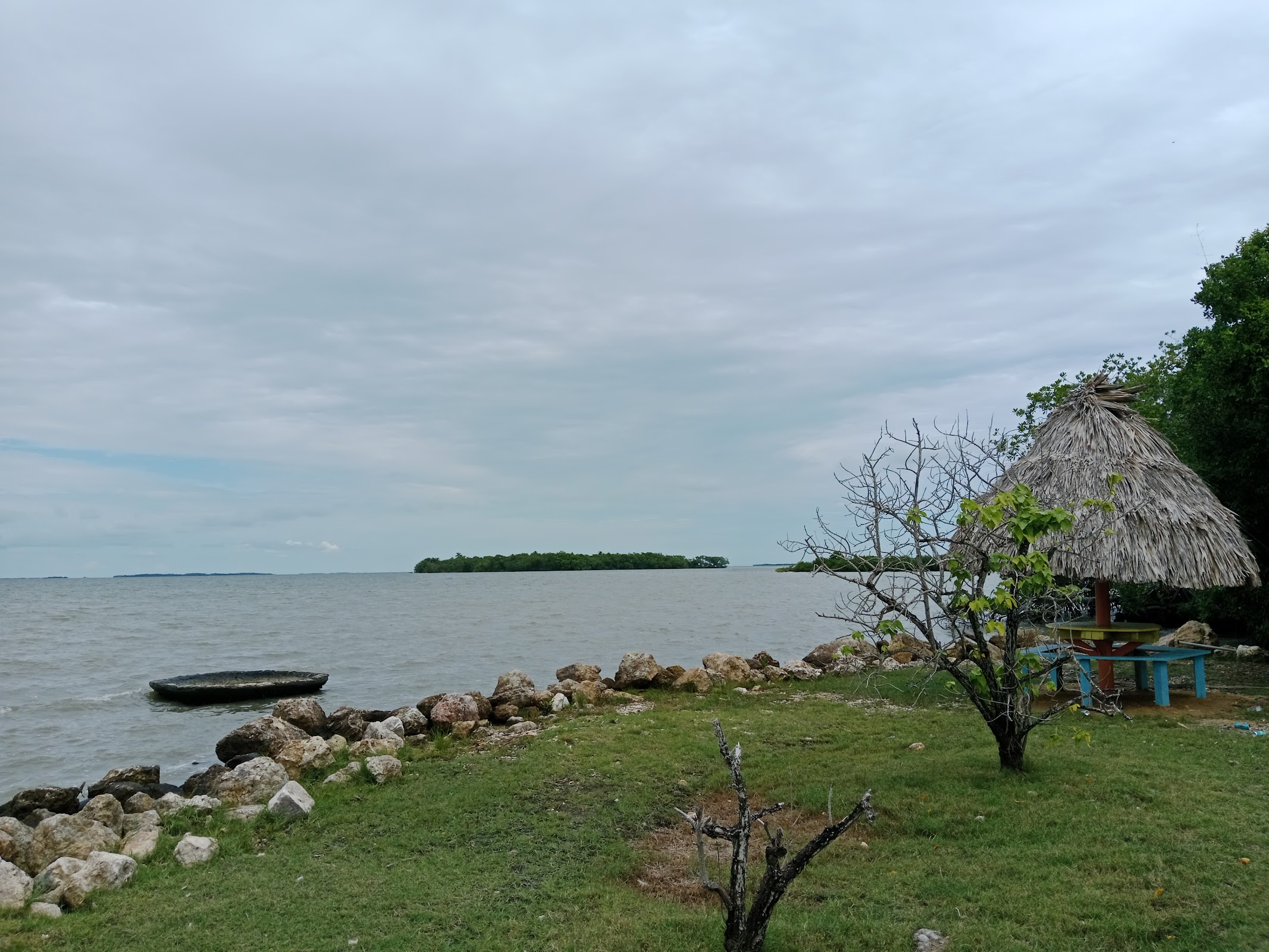 Dolphin Park