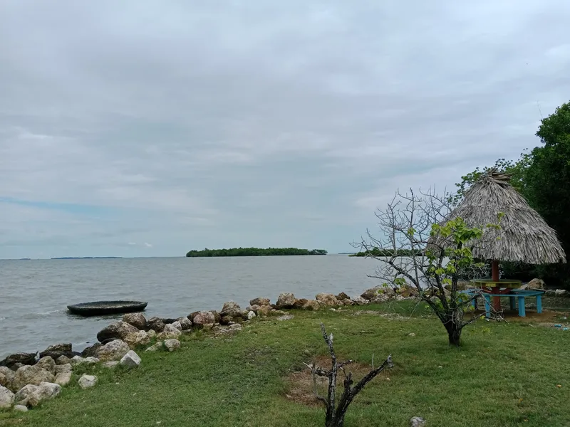 Dolphin Park