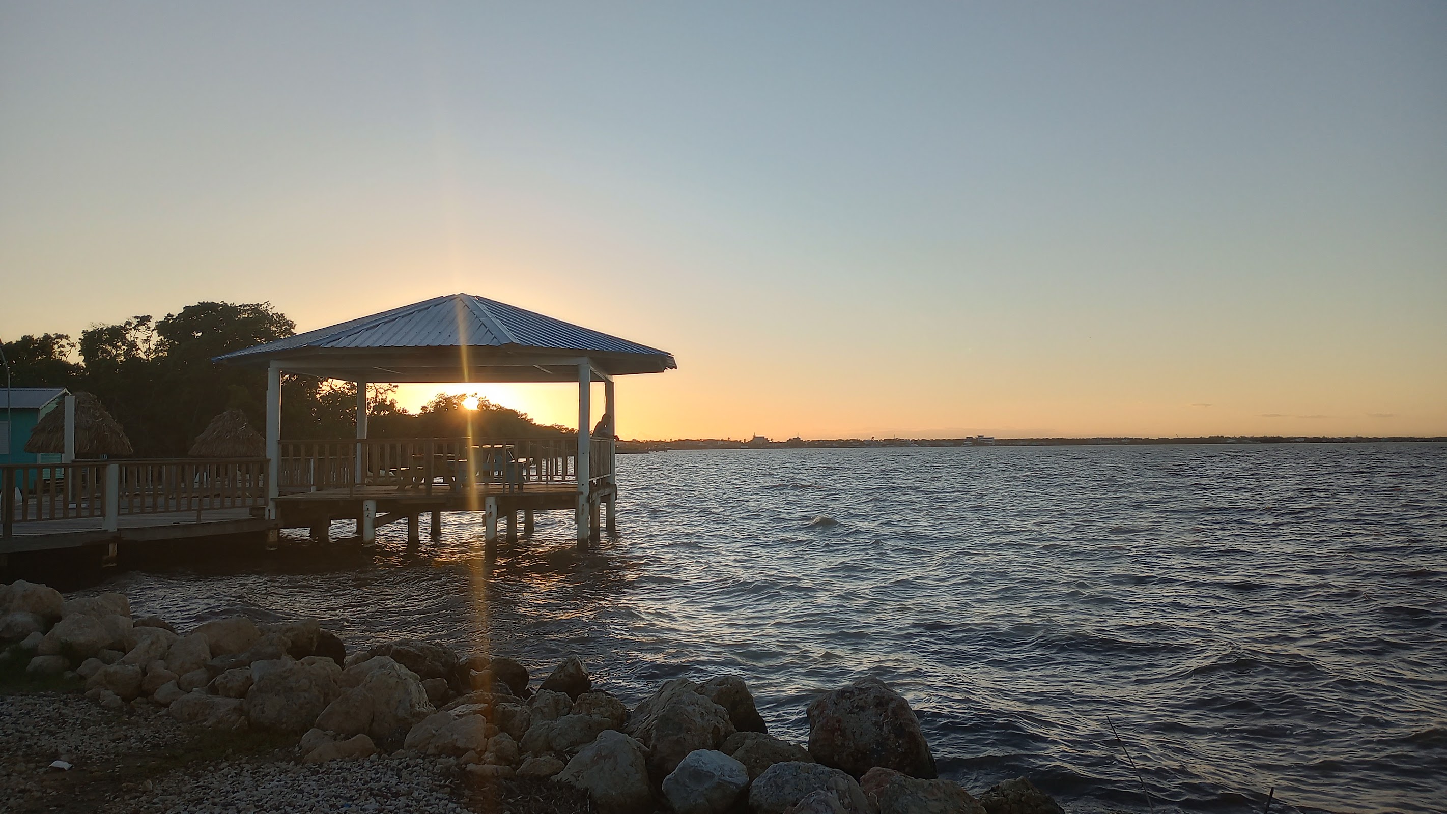 Dolphin Park photo 3