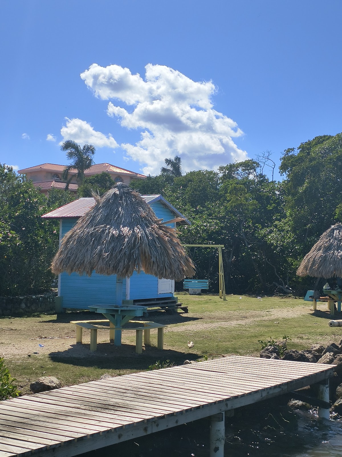 Dolphin Park photo 5