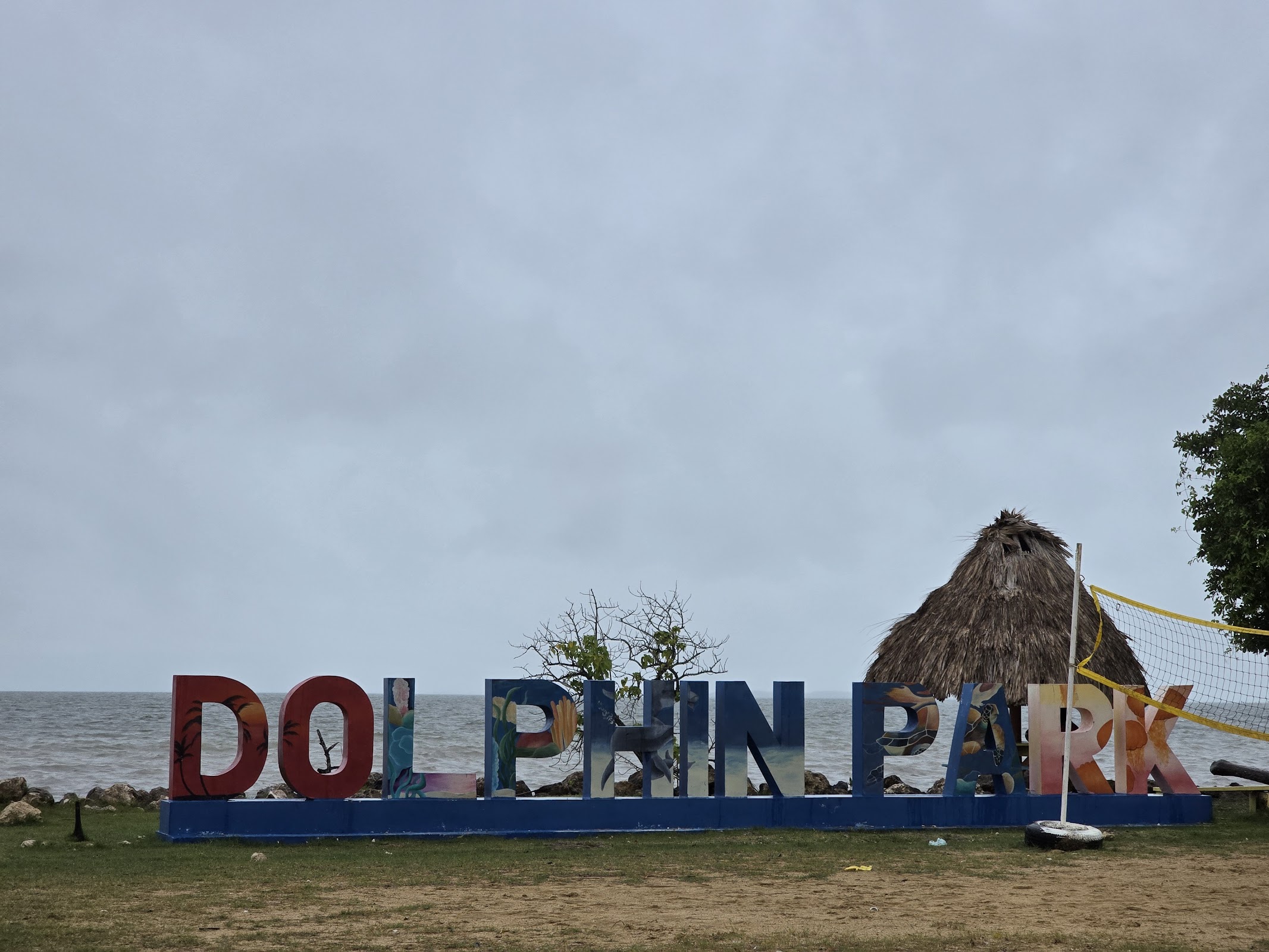 Dolphin Park photo 2