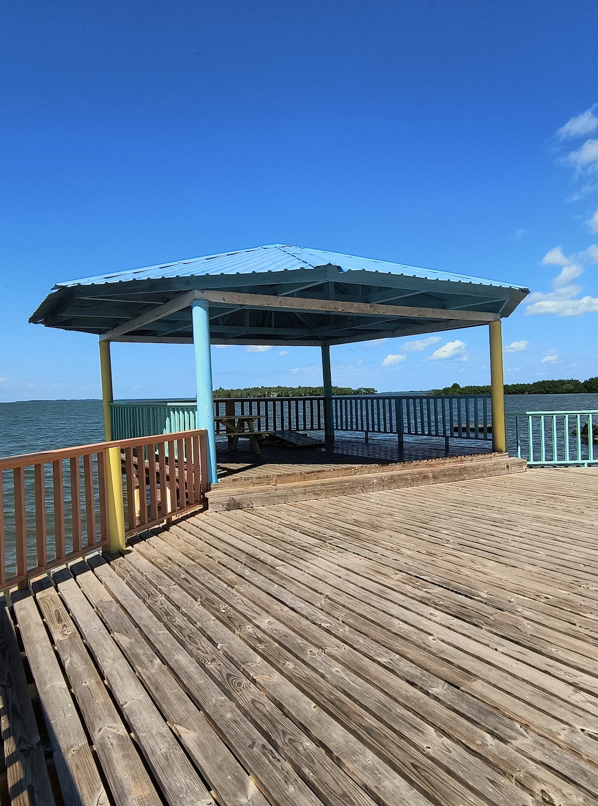 Dolphin Park photo 4