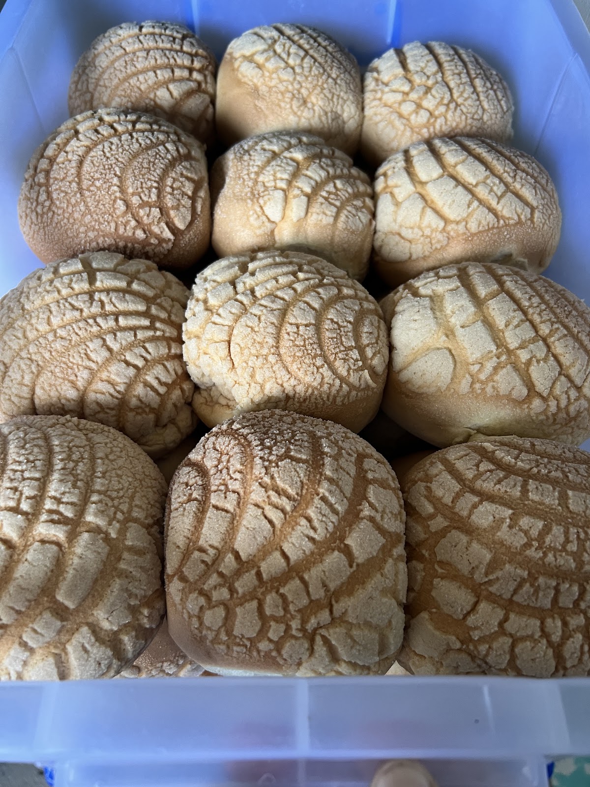 Cal's Bakery photo 5