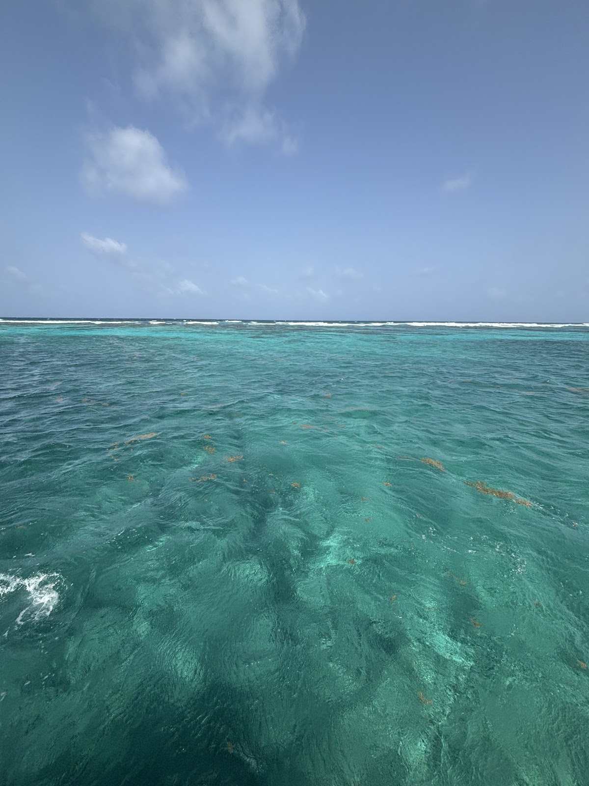ROEming Belize Travel Agency photo 4