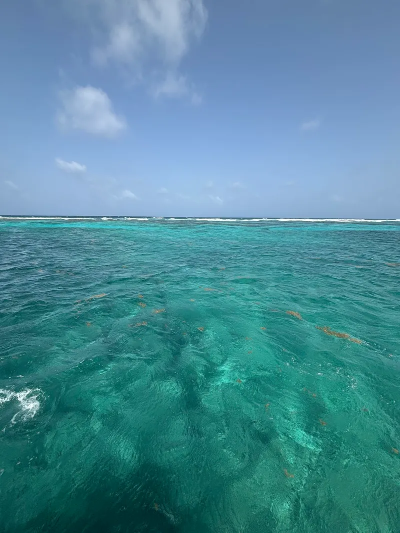 ROEming Belize Travel Agency photo 4
