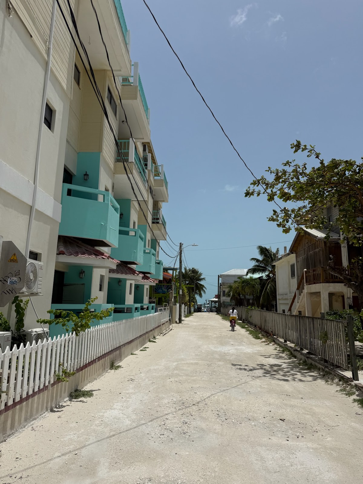 ROEming Belize Travel Agency photo 2