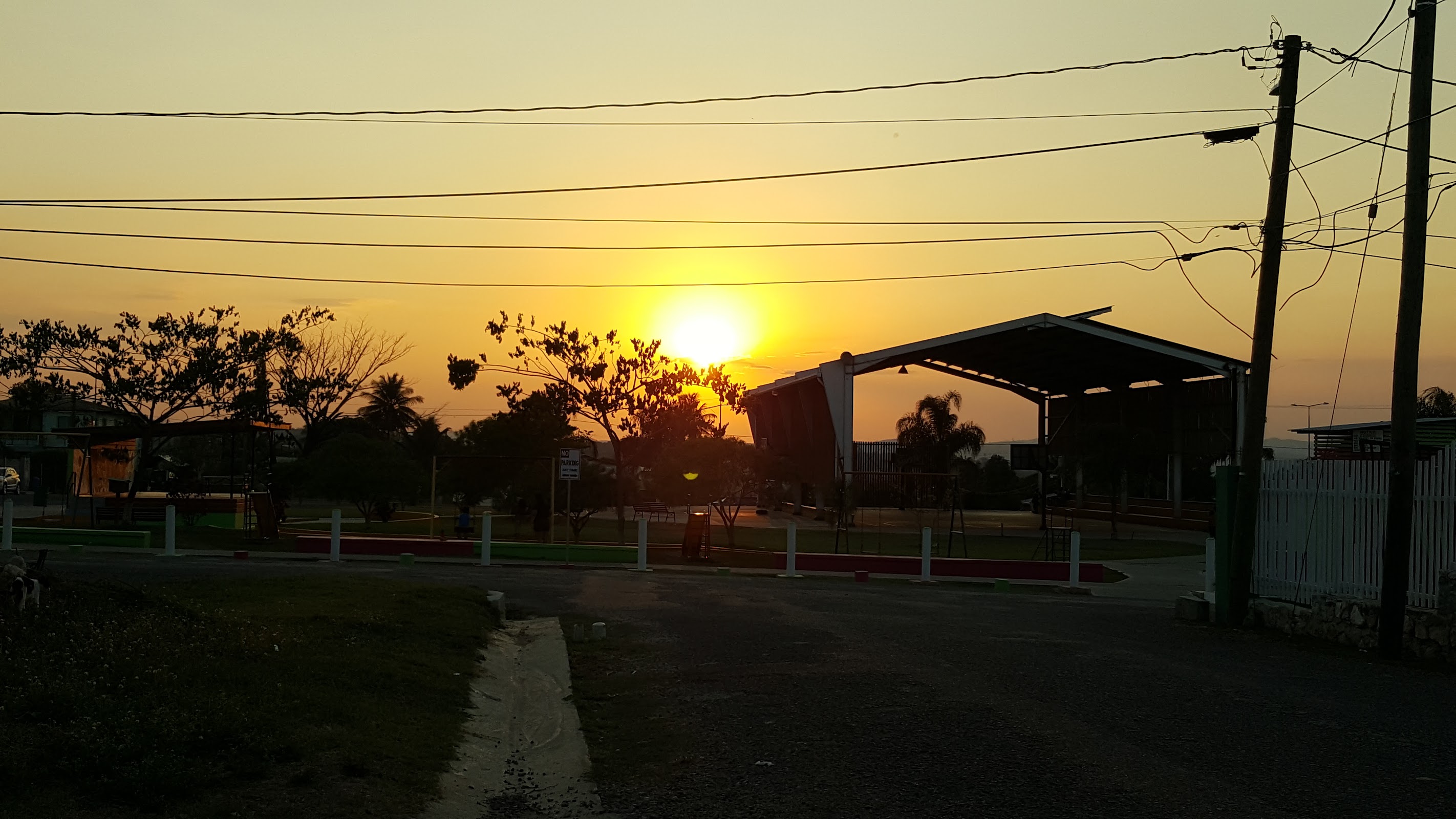 Falcon Field Park photo 4