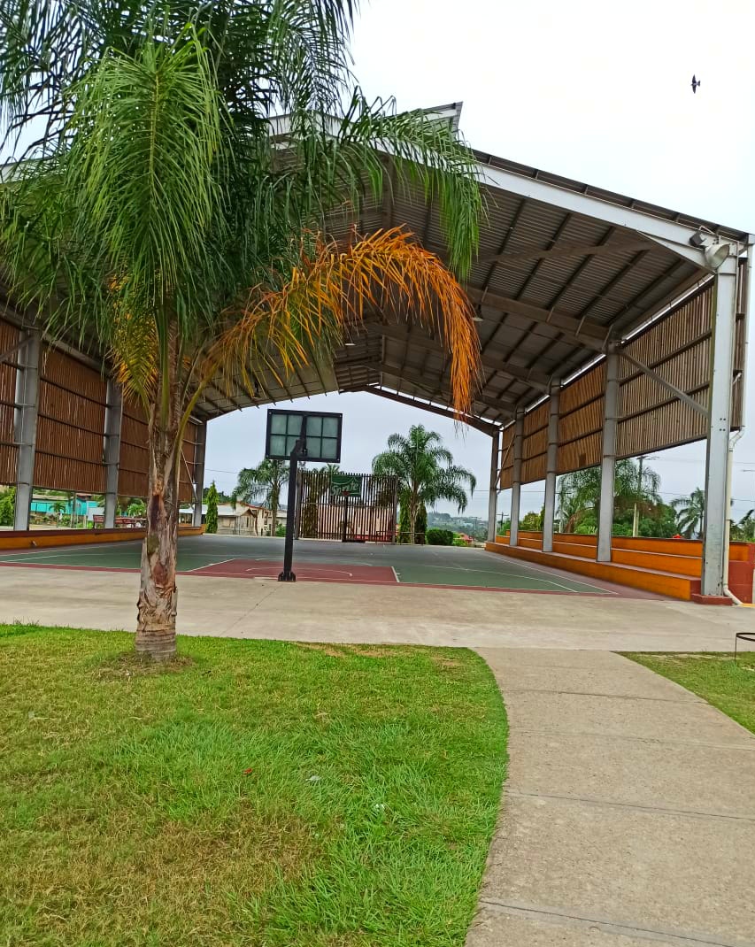 Falcon Field Park photo 5