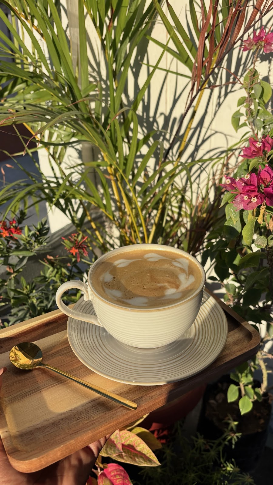 Canopy Café photo 2