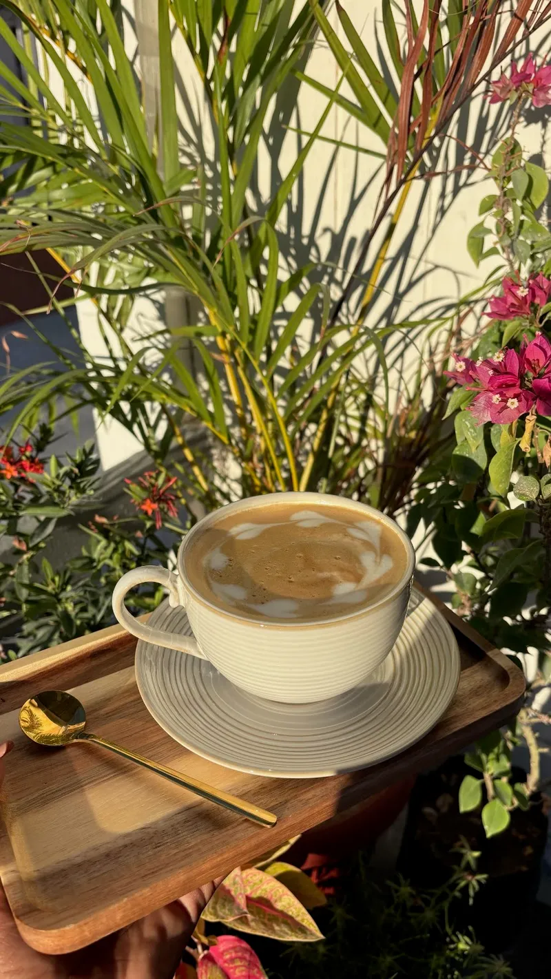 Canopy Café photo 2