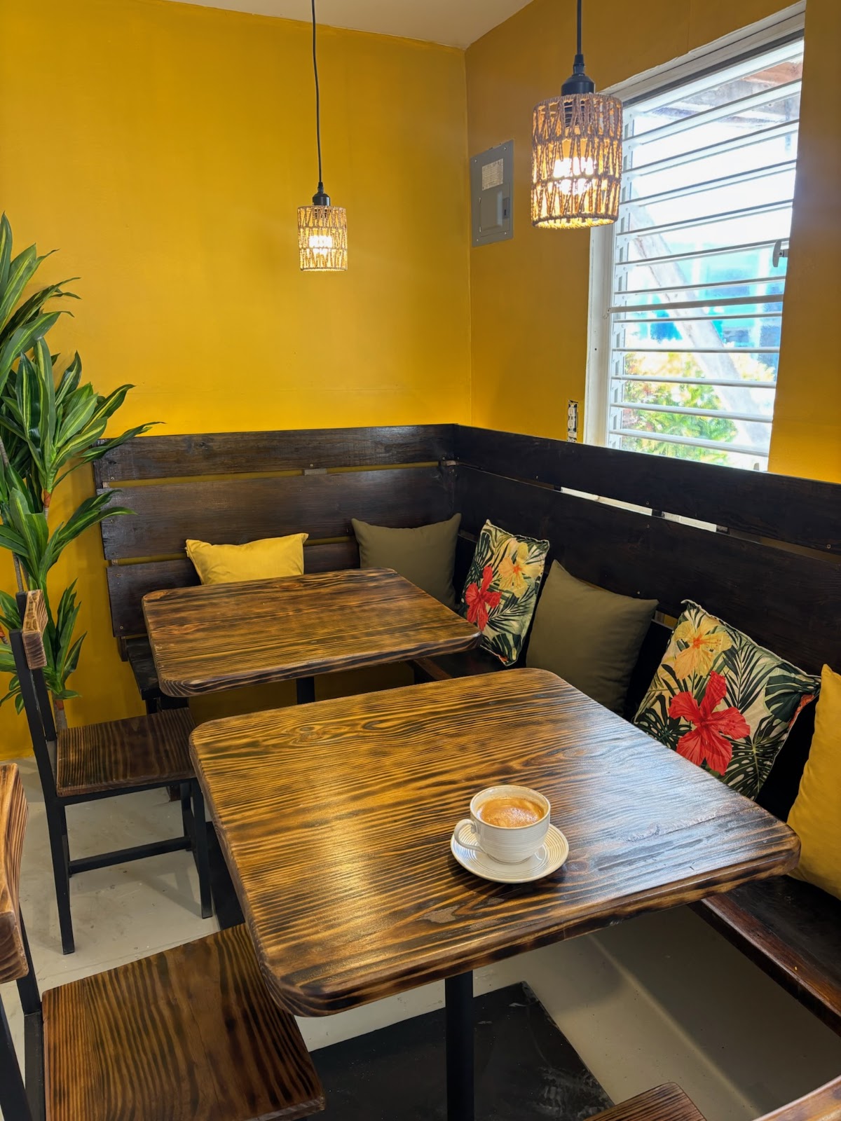 Canopy Café