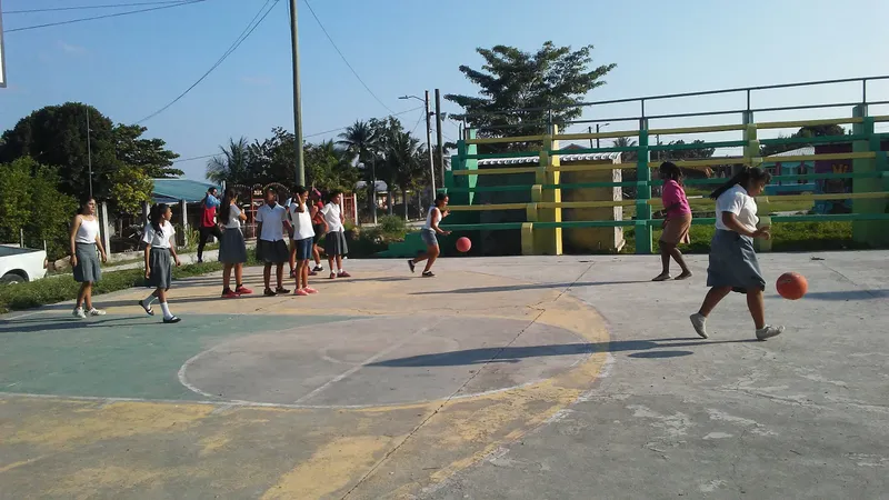 Trial Farm Park