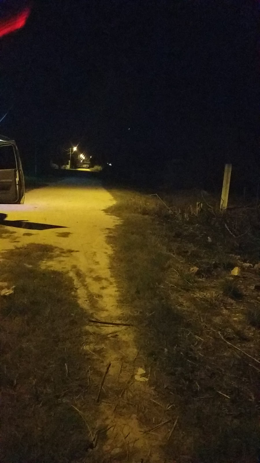 Trial Farm Park photo 7