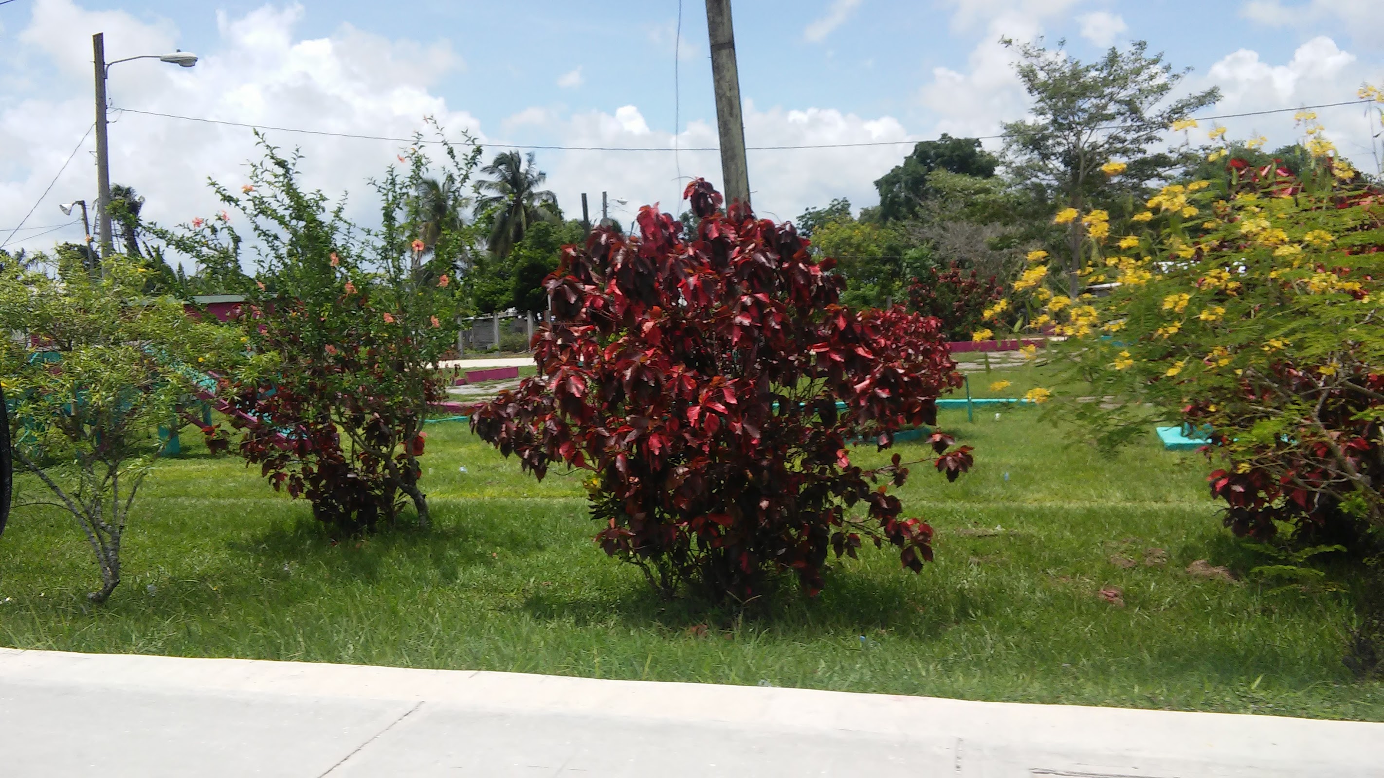 Trial Farm Park photo 2