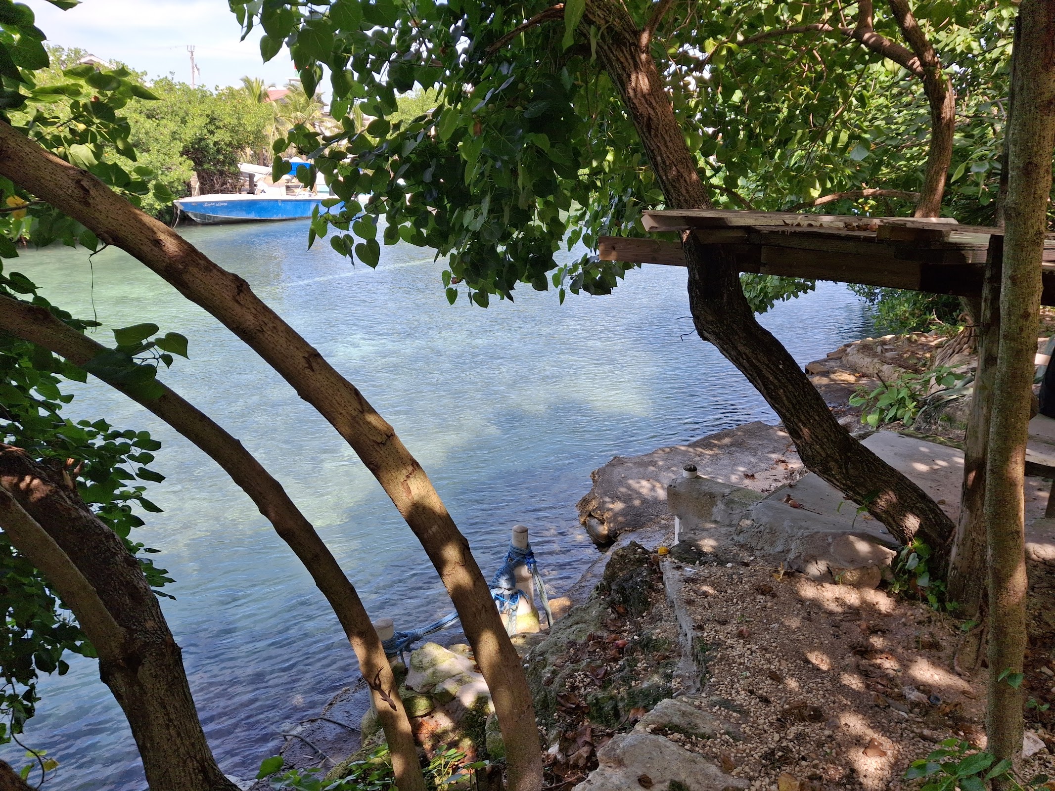 Iguana Reserve photo 4