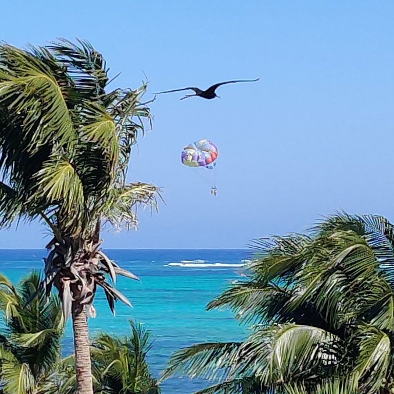 tacogirl Belize blog photo 5
