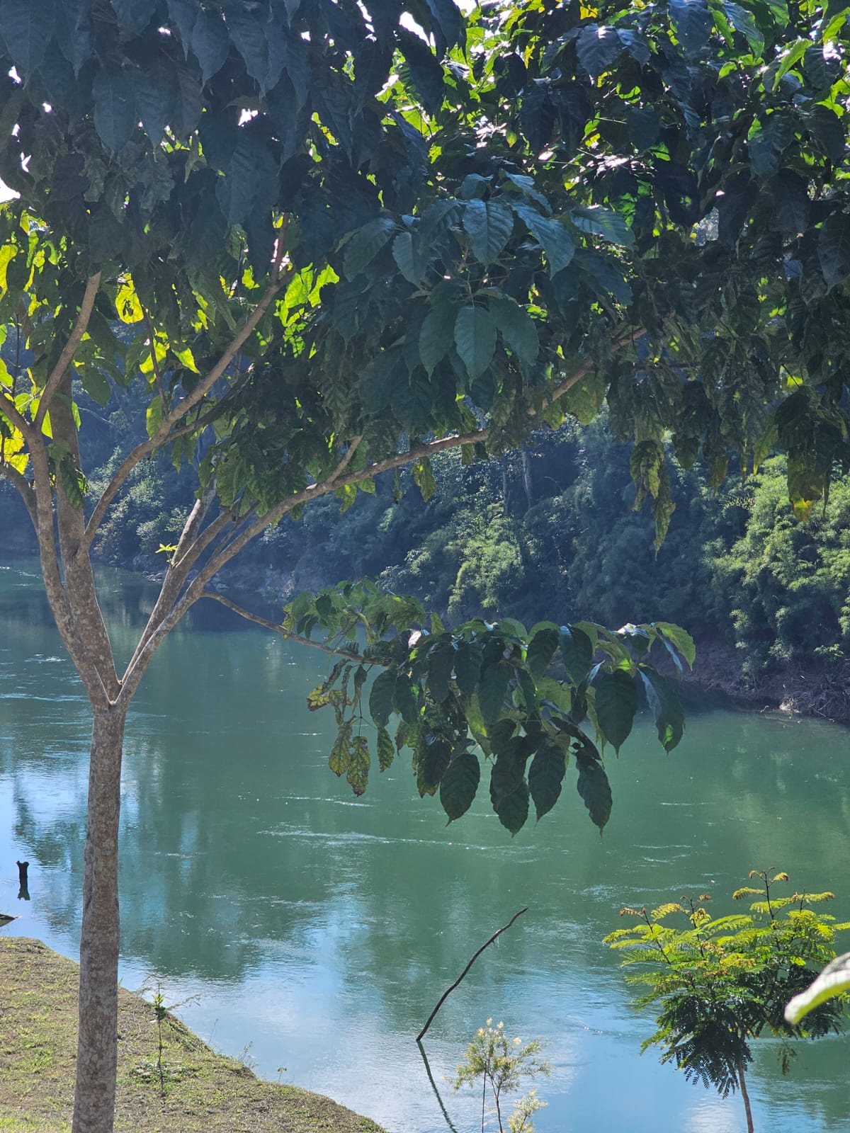 La Ruta Maya River villa
