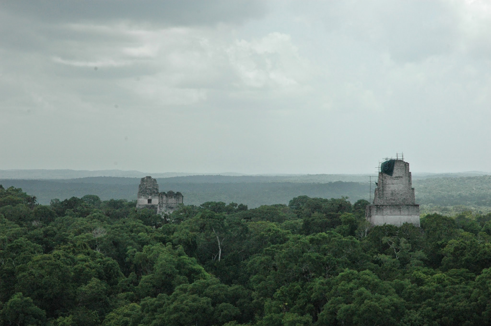 Amigos Jungle Tours photo 2