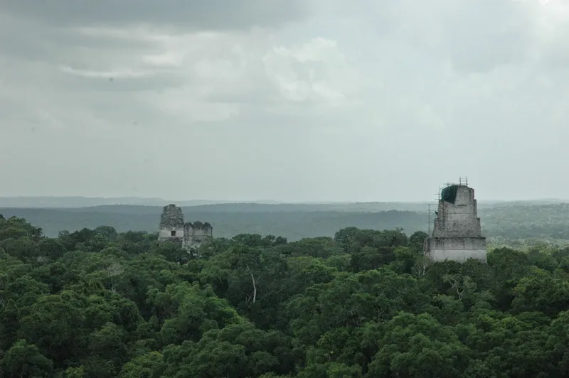 Amigos Jungle Tours photo 2
