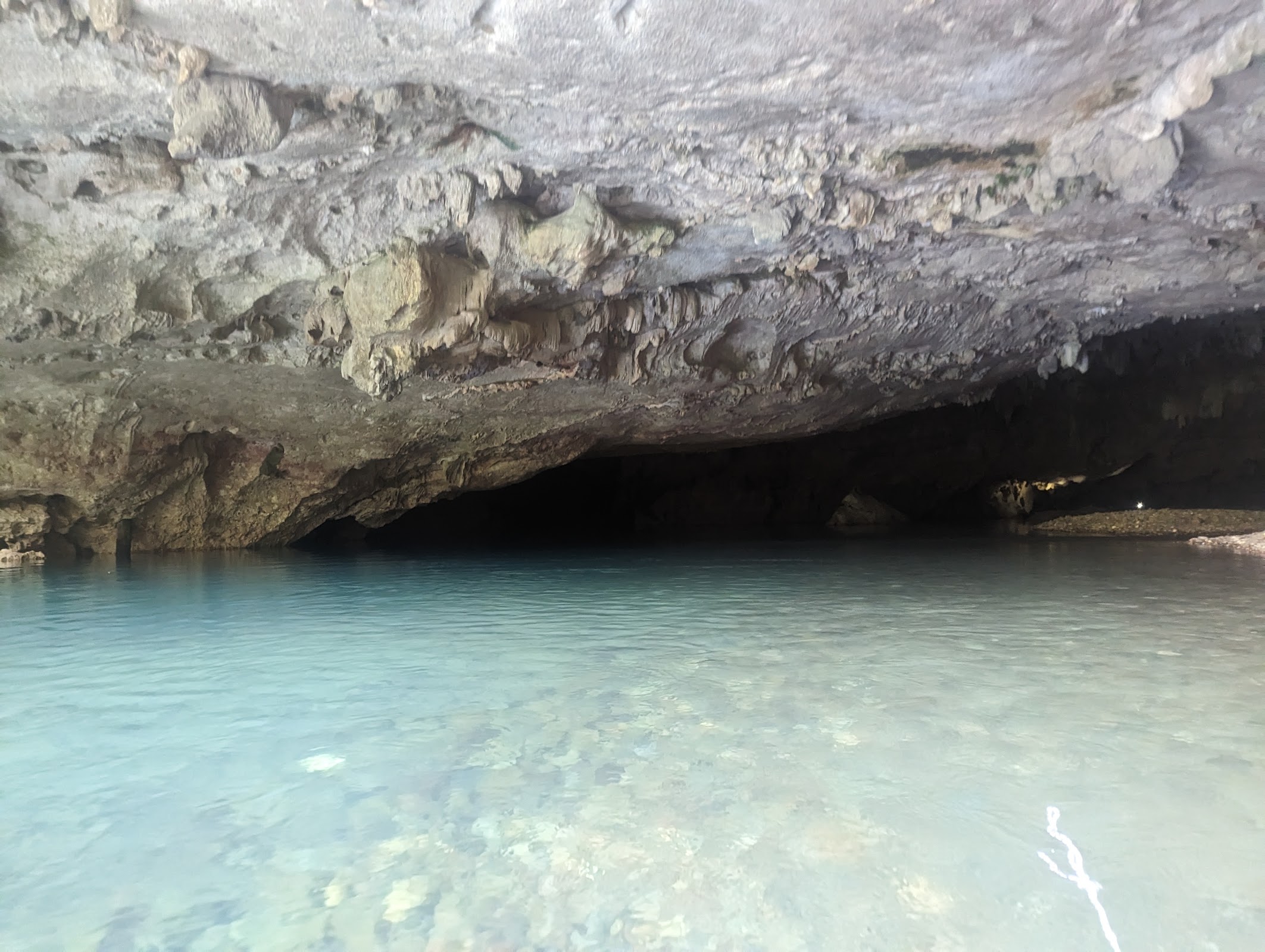 Amigos Jungle Tours photo 4