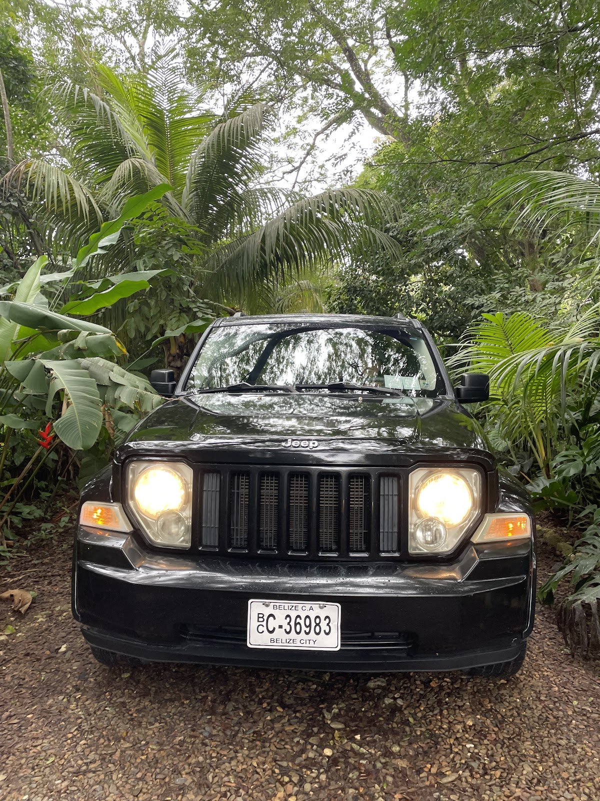 Pancho's Auto Rental photo 2