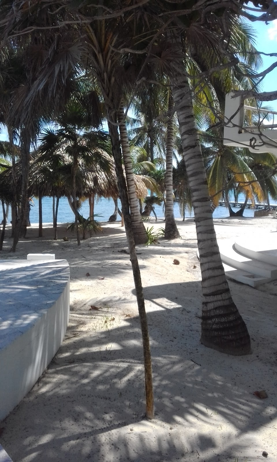 Azul Resort photo 3