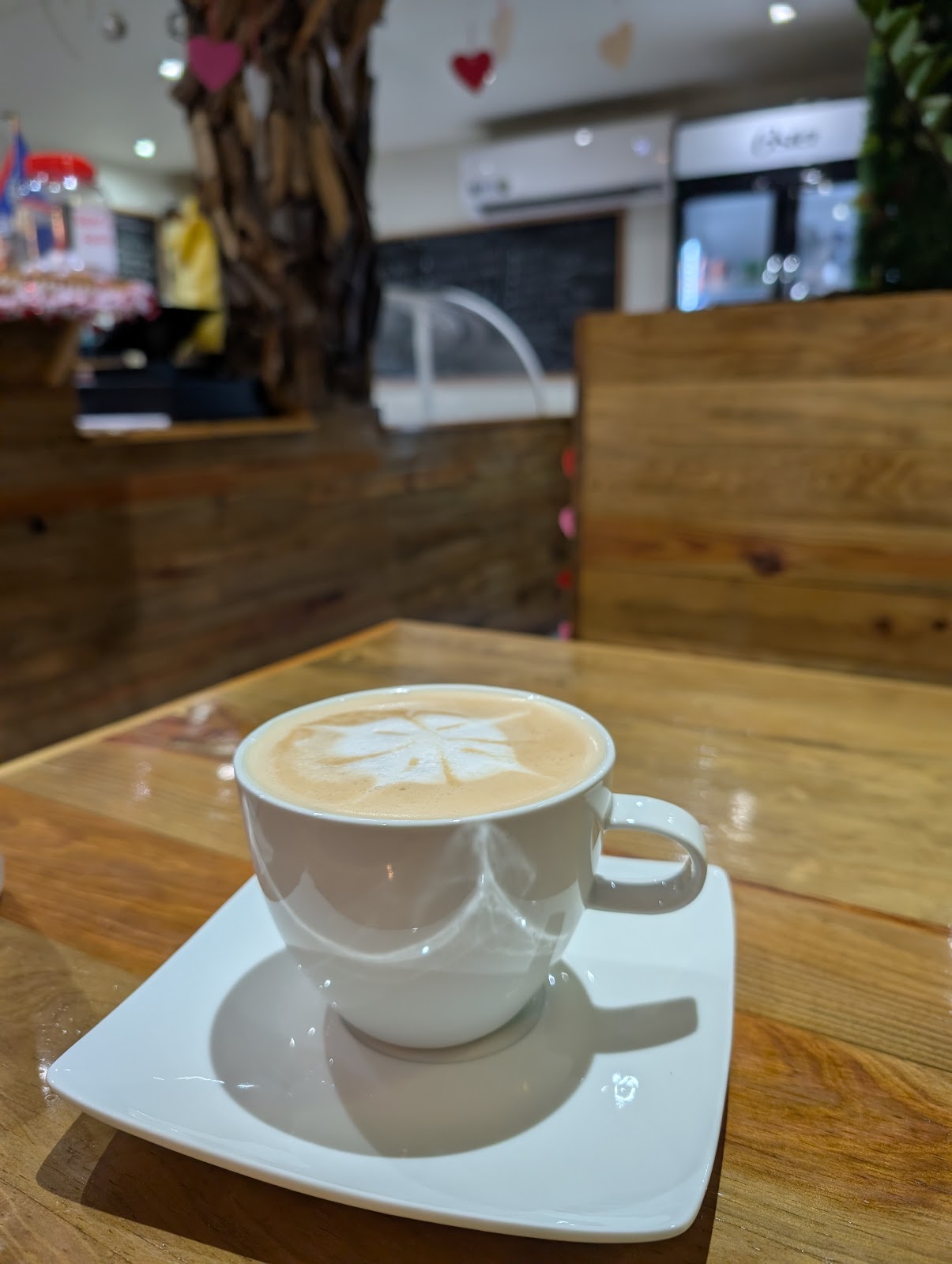 D Coffee Tree photo 2