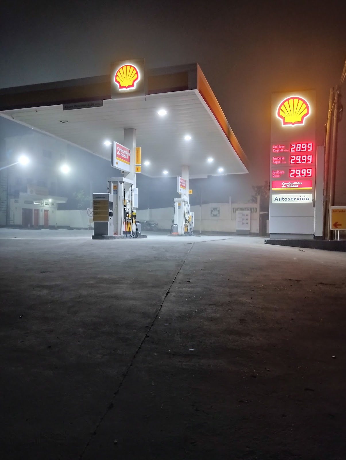 Shell photo 7