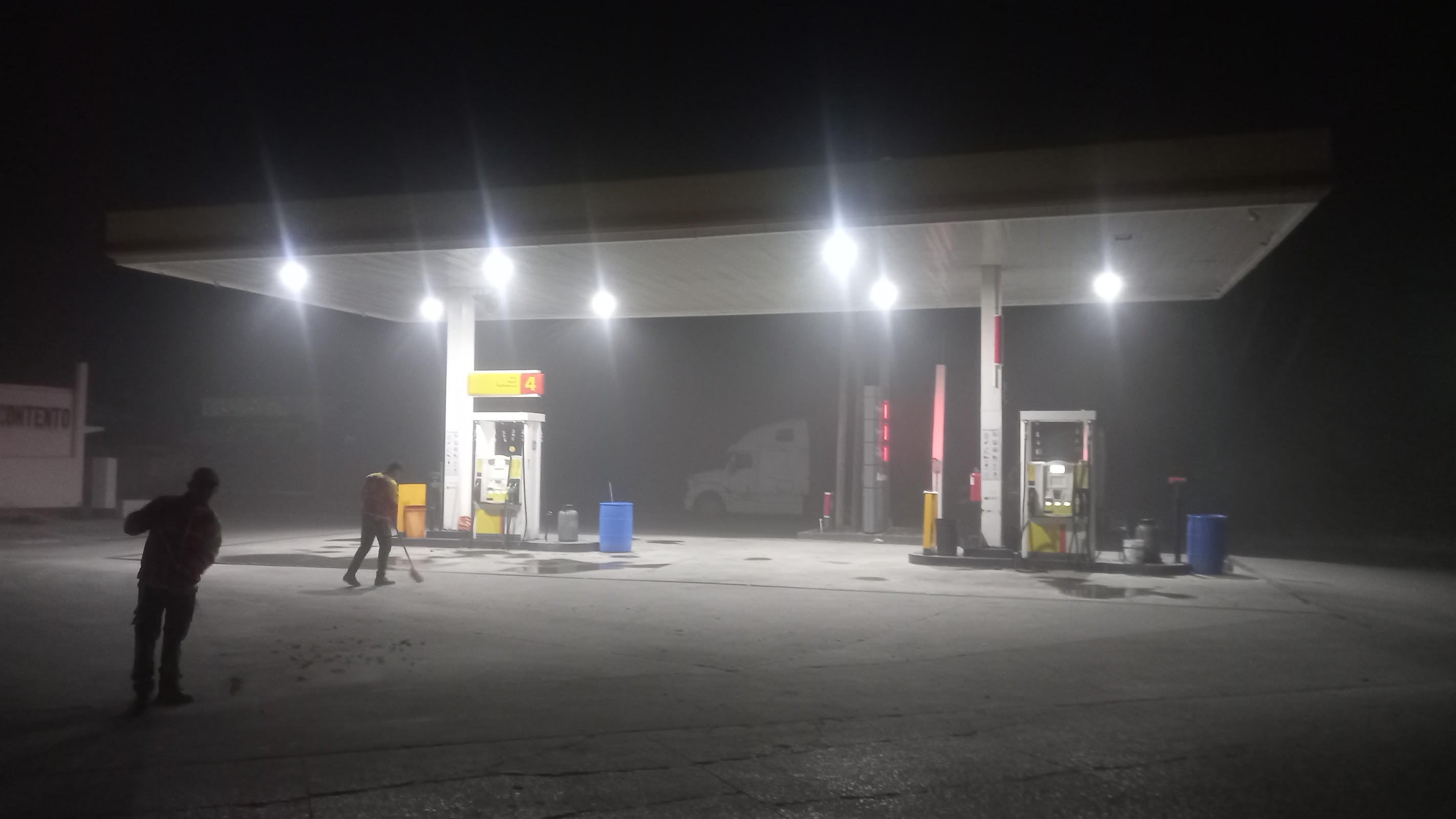 Shell photo 4