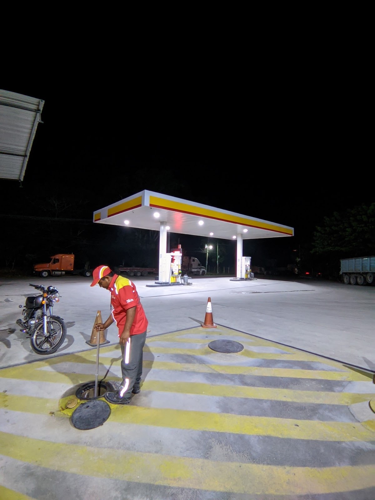 Shell photo 3