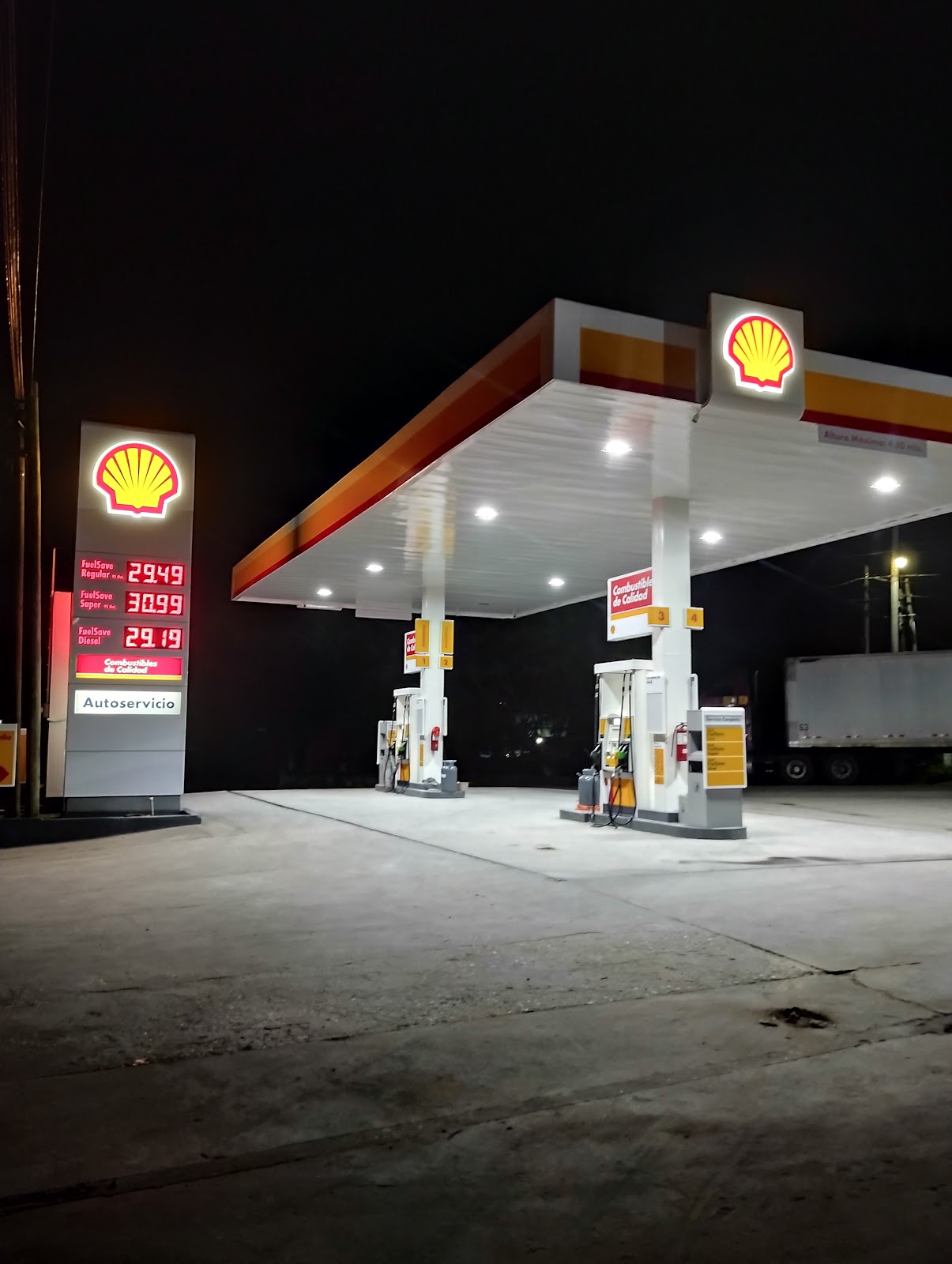 Shell photo 2