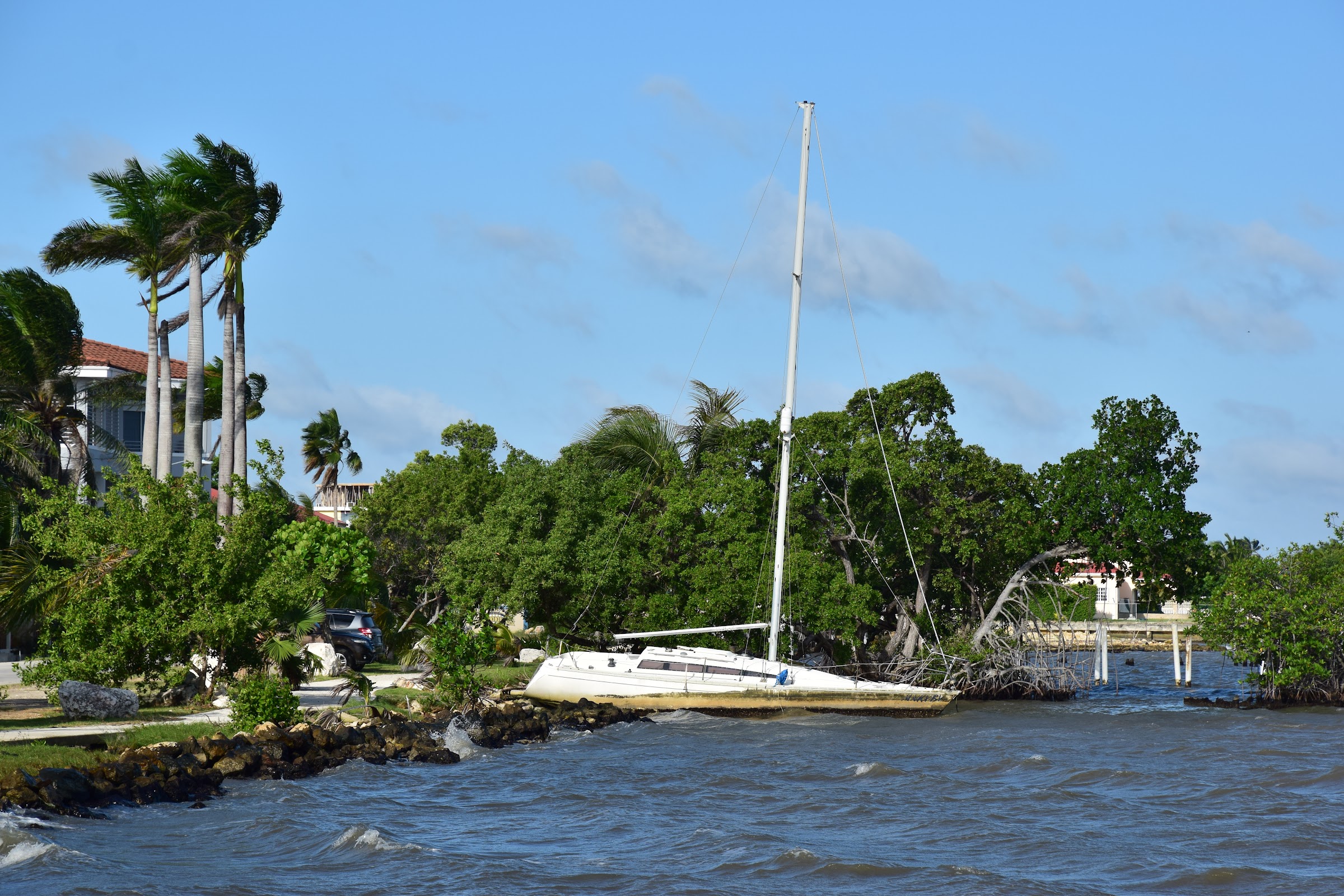 Seashore Promenade photo 4