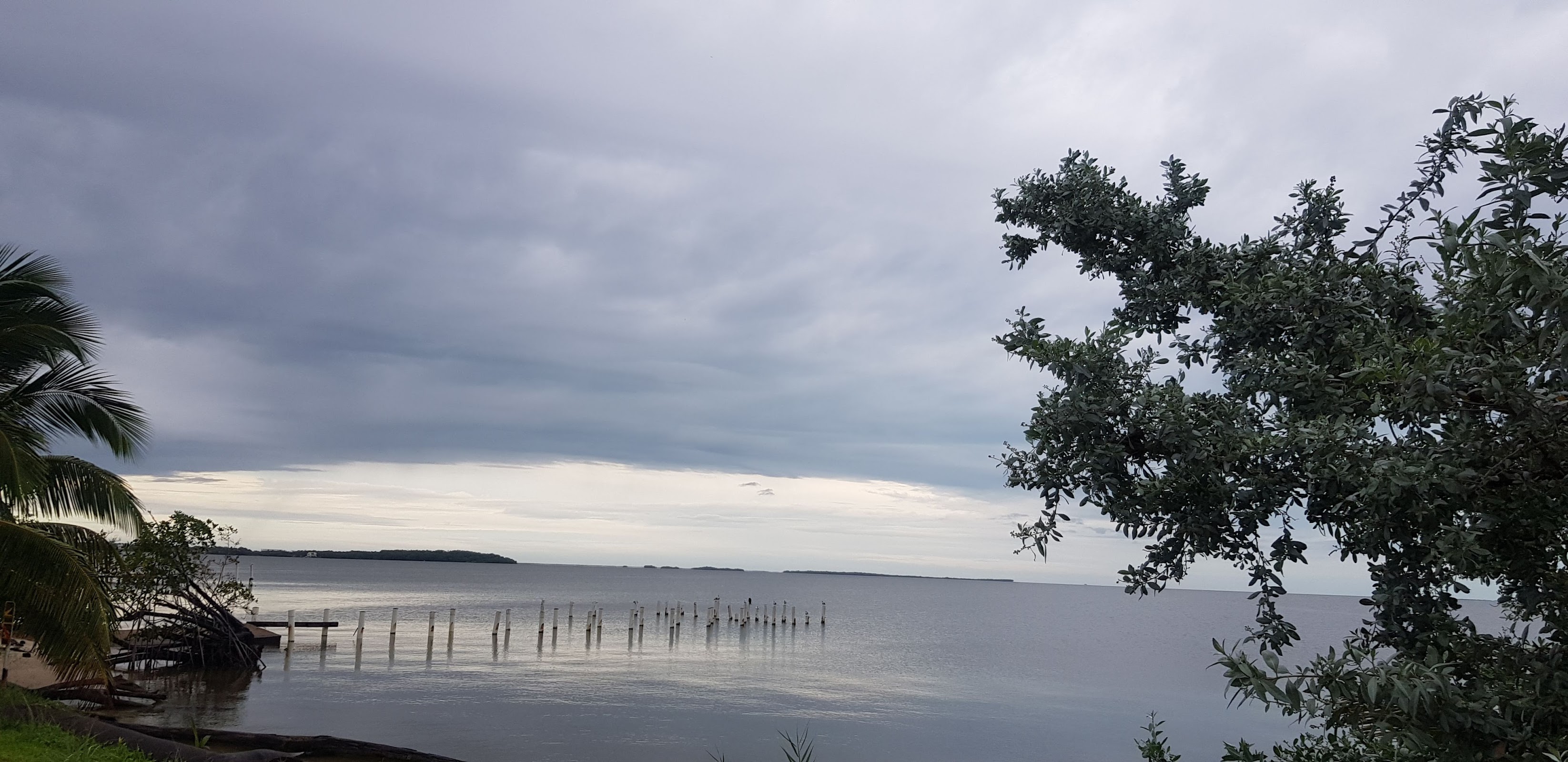 Seashore Promenade photo 6