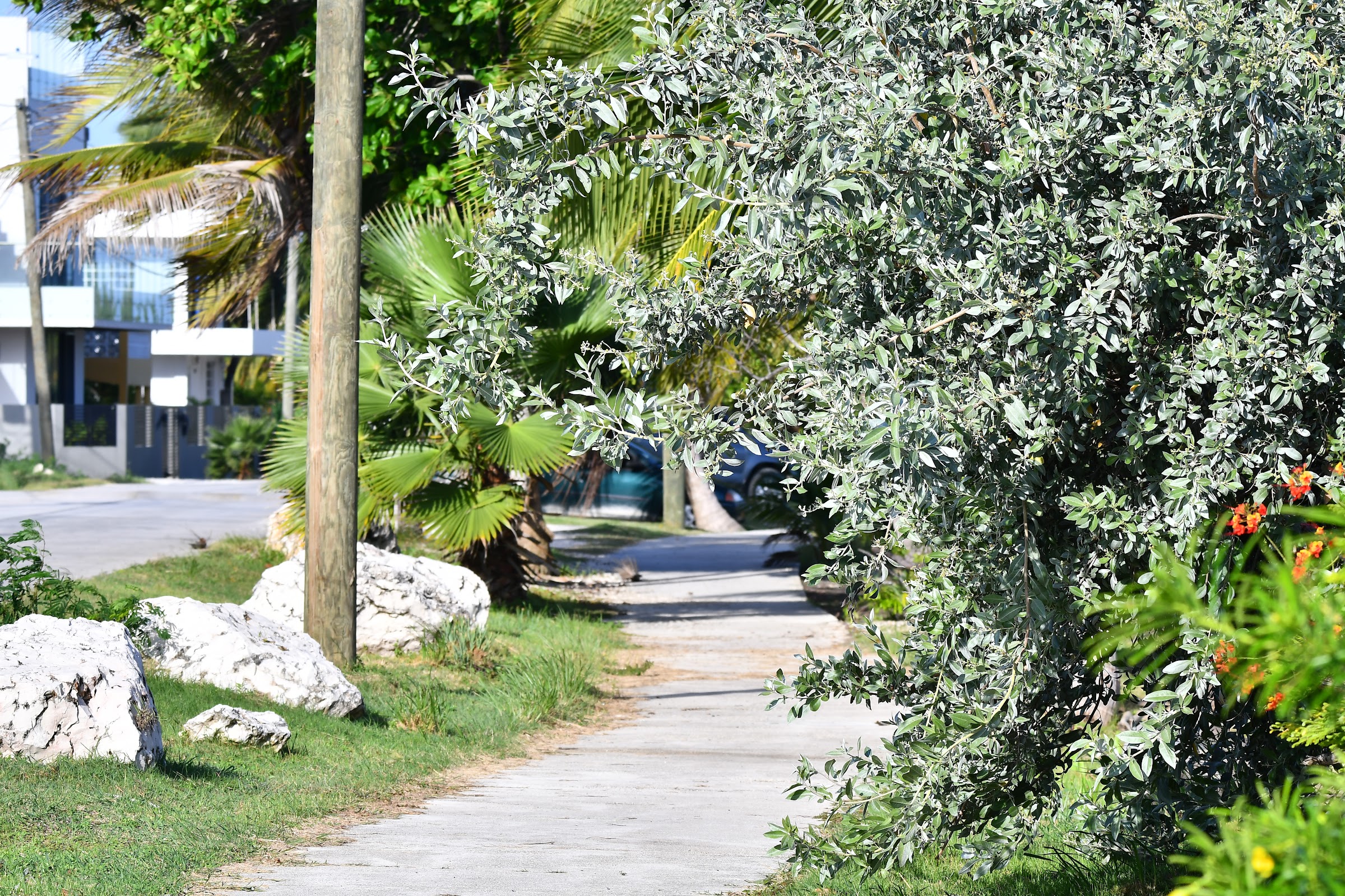 Seashore Promenade photo 7