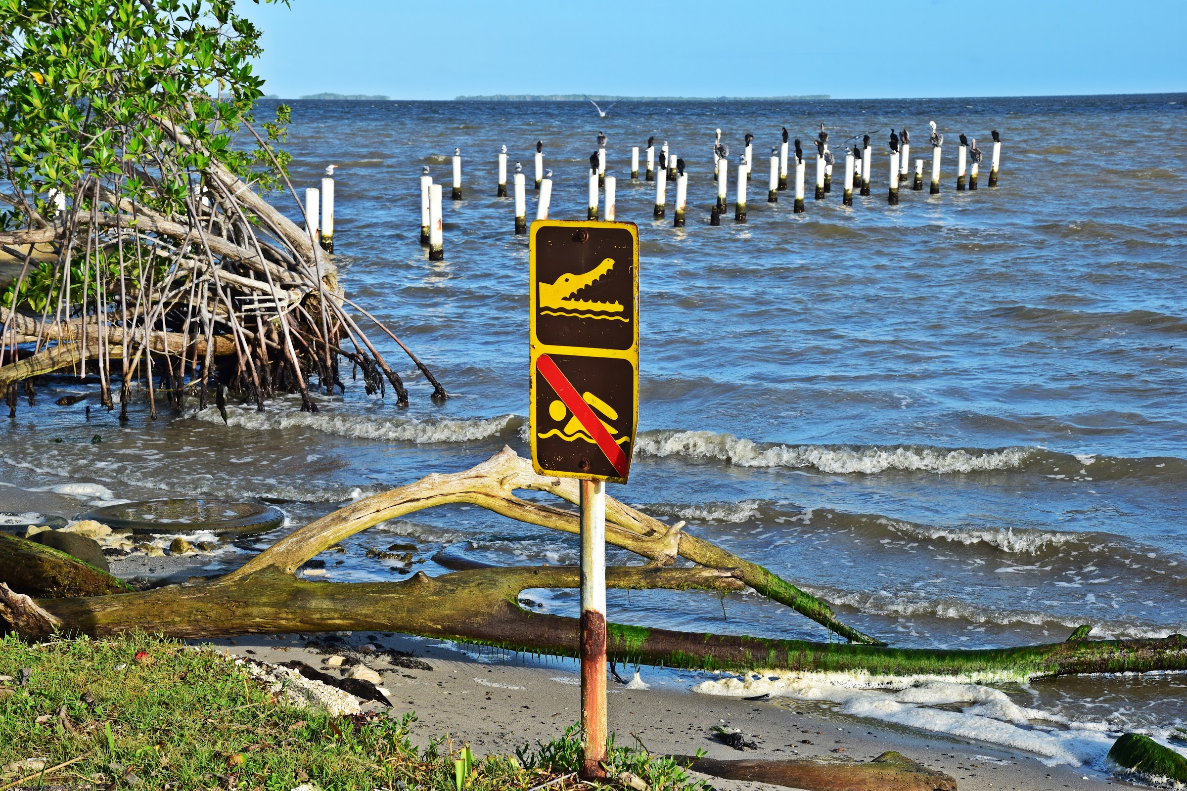 Seashore Promenade photo 5