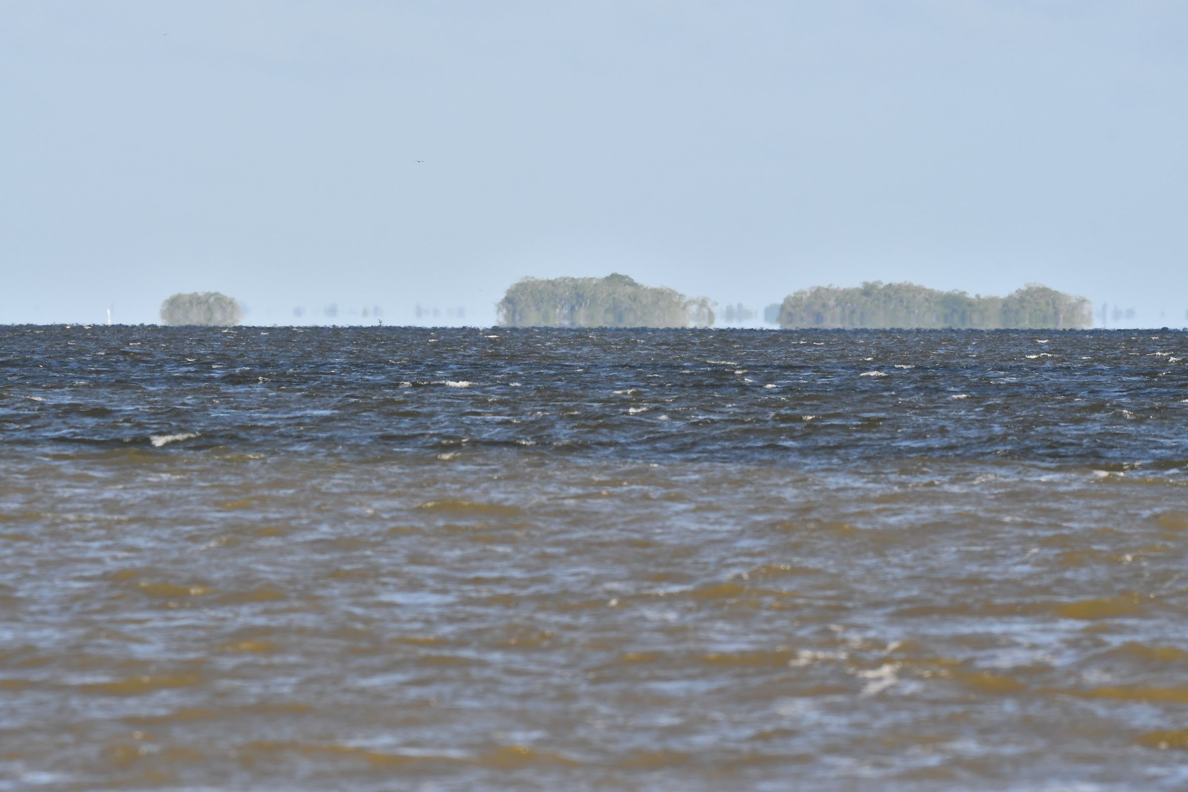 Seashore Promenade photo 8