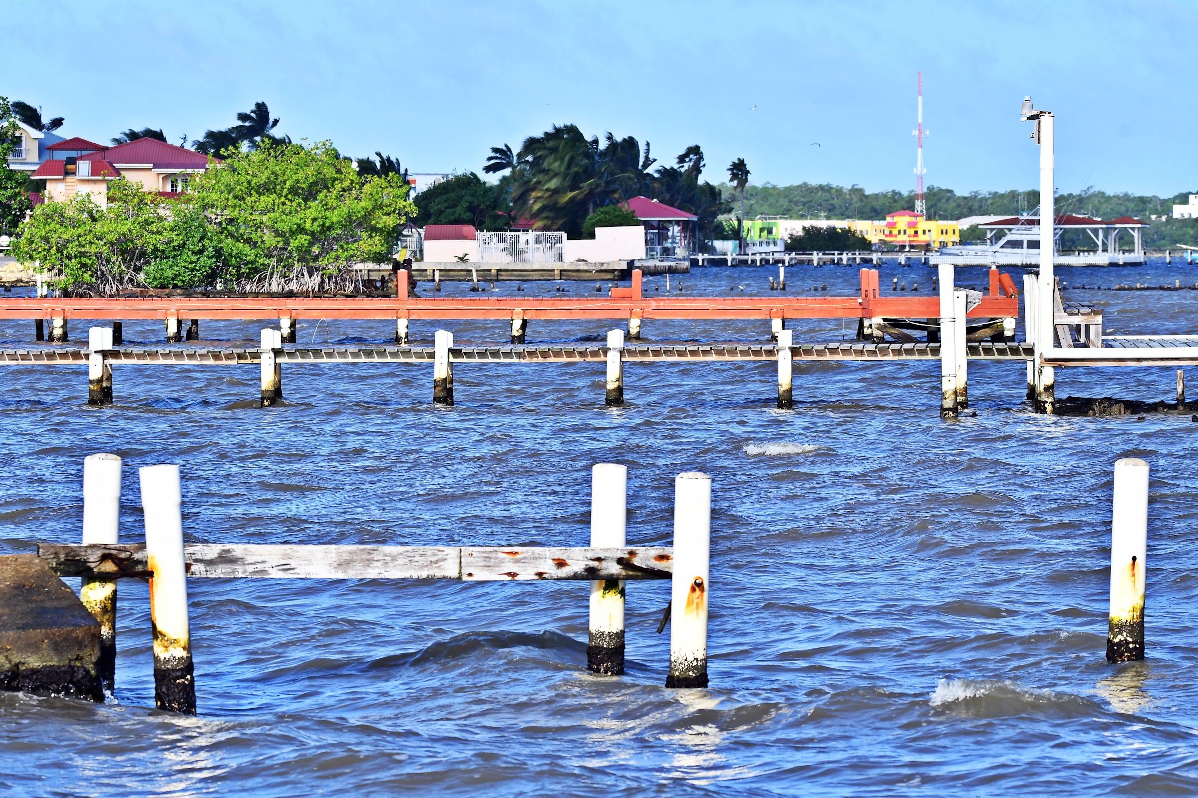 Seashore Promenade photo 3