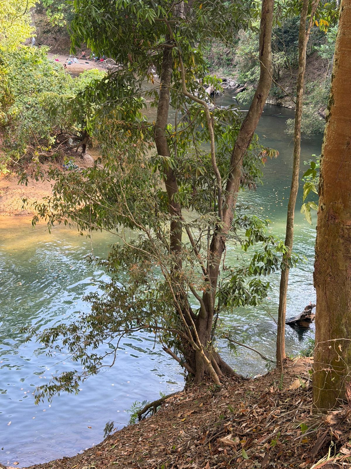Tillett’s Nature Reserve and Getaway photo 5