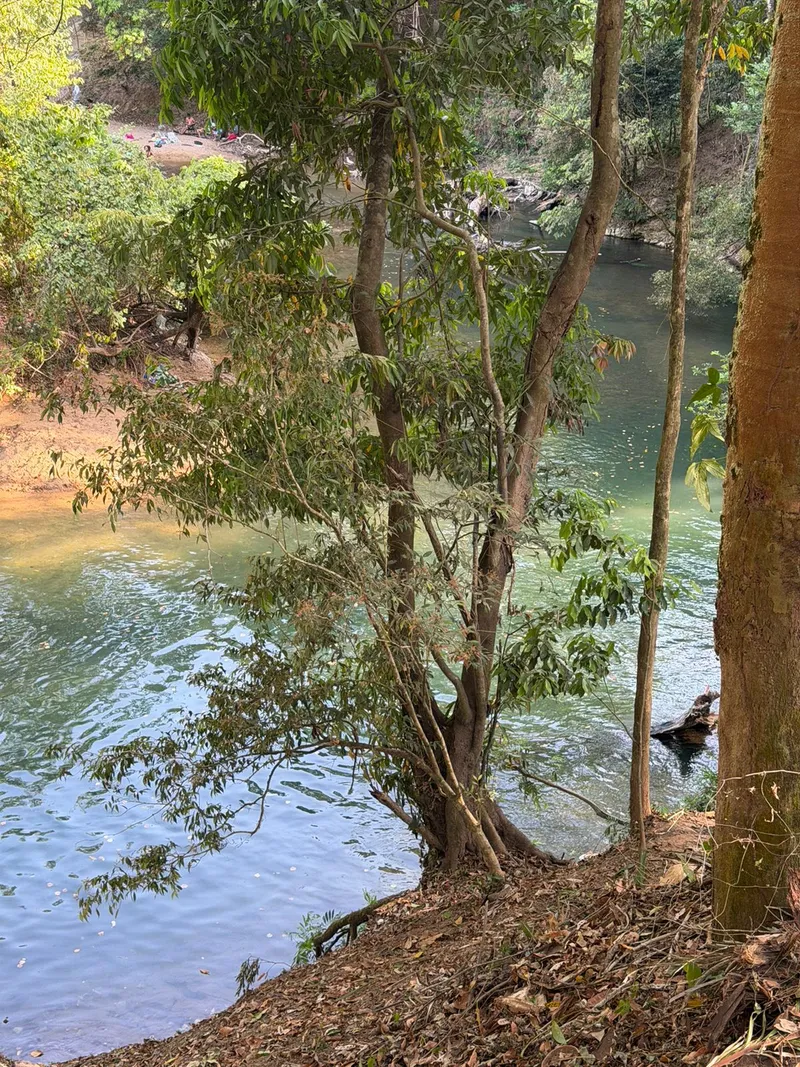 Tillett’s Nature Reserve and Getaway photo 5