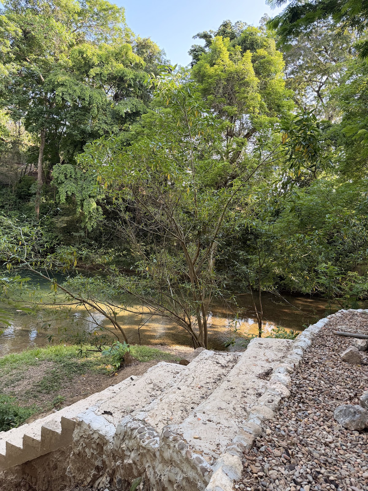Tillett’s Nature Reserve and Getaway photo 6