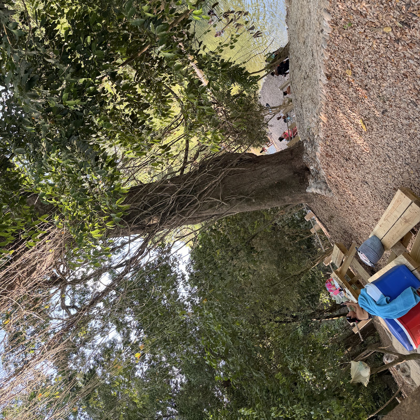 Tillett’s Nature Reserve and Getaway photo 8
